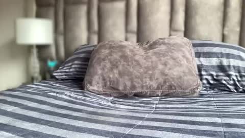 alexander grey online show from 05.11.26