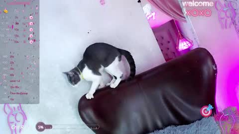 Snapshot of alexandra_evanz chatting on 01.27.25 Alexandra Spellman online show from 01.27.25