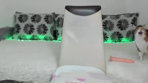 Snapshot of alexatight chatting on 01.11.25 Alexa online show from 01.11.25