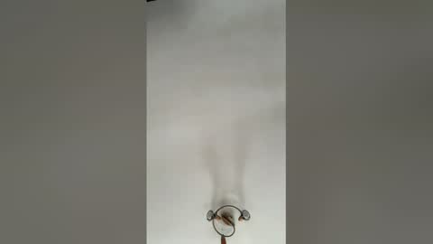 alexcarla online show from 04.01.26