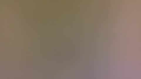 Snapshot of alexfan141 chatting on 10.31.25 alexfan141 online show from 10.31.25