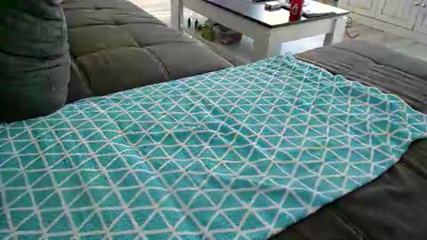 Snapshot of alexfresh84 chatting on 12.24.24 Doggystyle online show from 12.24.24