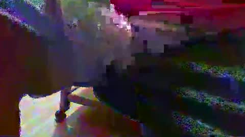 Alex online show from 09.08.25