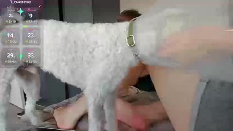 Snapshot of alexiacortez chatting on 11.20.25 Alexia online show from 11.20.25