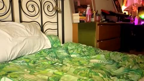 Snapshot of alexrhodesxxx chatting on 12.22.24 Alex online show from 12.22.24