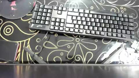 Snapshot of alice__morgan_ chatting on 11.24.25 Alice online show from 11.24.25