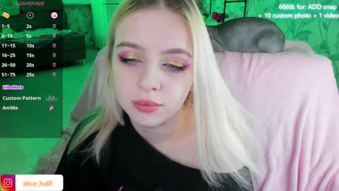 Snapshot of alice_halle chatting on 12.13.24 alice_halle online show from 12.13.24