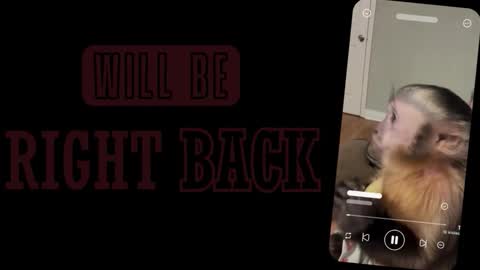 Sofia online show from 03.02.26