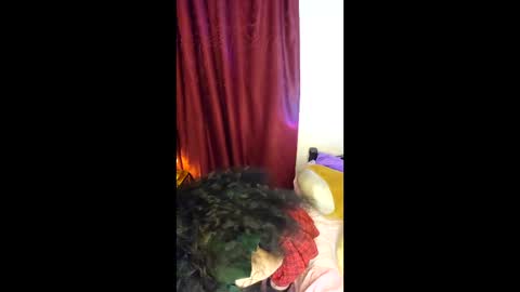 Alicekingdom online show from 02.08.26