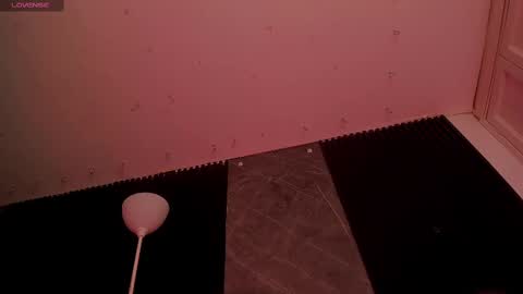 ALICE  online show from 11.12.25