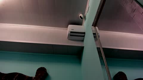 Alice online show from 12.31.24