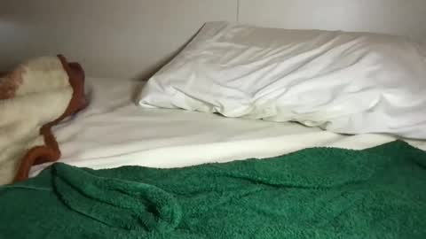 Ali Roxy online show from 10.16.25