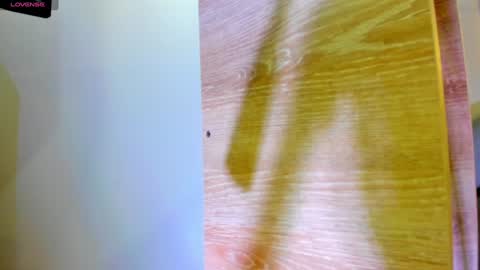           online show from 01.08.25