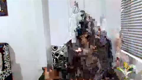 Alisonturbay online show from 04.15.26