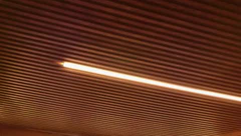 Alison Moon  online show from 02.21.26