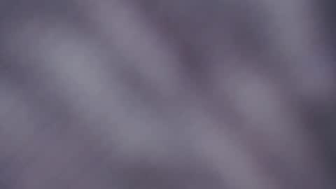 allise online show from 12.22.25