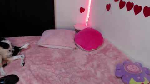 Lola online show from 02.23.25