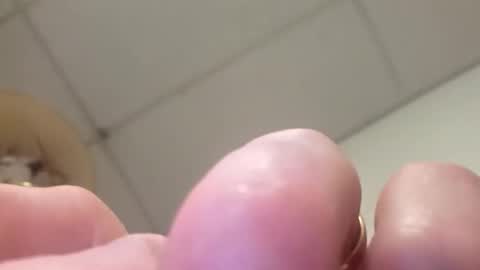 alldickandass11 online show from 02.14.26