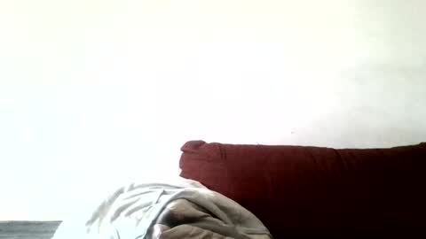 Snapshot of alldickshere2 chatting on 06.13.26 fuckmales online show from 06.13.26