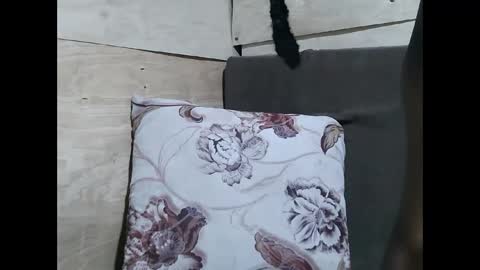 Snapshot of allie_quin chatting on 02.10.26 Allie online show from 02.10.26