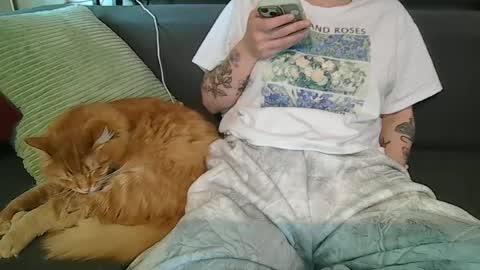 alliebearx online show from 06.27.26