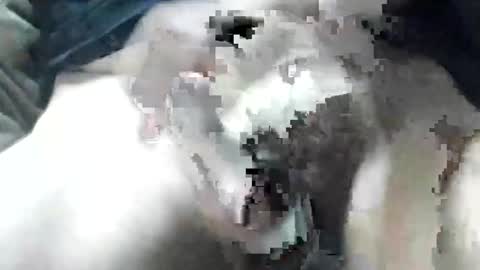 allways395 online show from 09.28.25