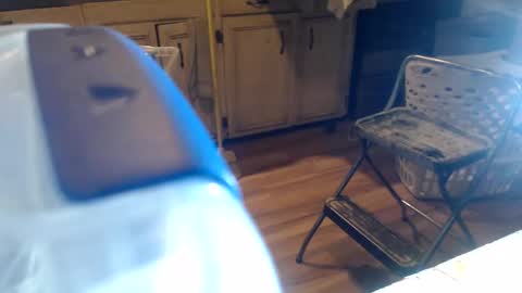 allwolf0323 online show from 04.06.26