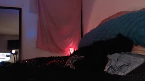 Snapshot of ally_donfort chatting on 02.16.25 Ally online show from 02.16.25