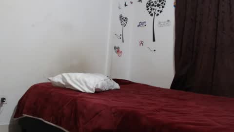 Snapshot of allyka_transsm chatting on 12.21.24 Allyka online show from 12.21.24