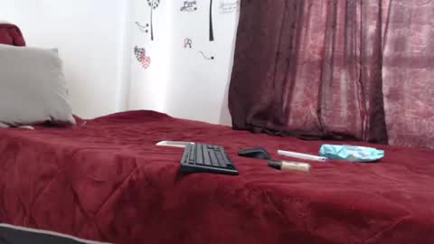 Snapshot of allyka_transsm chatting on 01.12.25 Allyka online show from 01.12.25