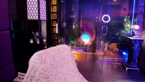 Alma online show from 05.13.26