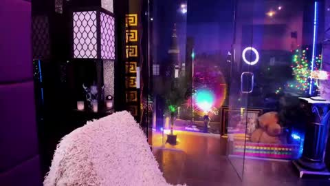Alma online show from 05.17.26