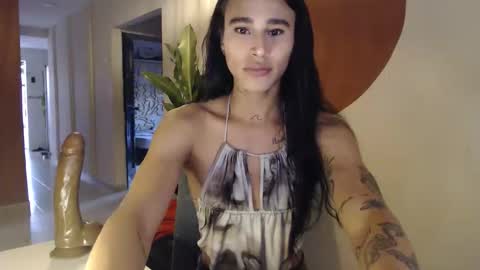 STEPHAN  online show from 01.06.26