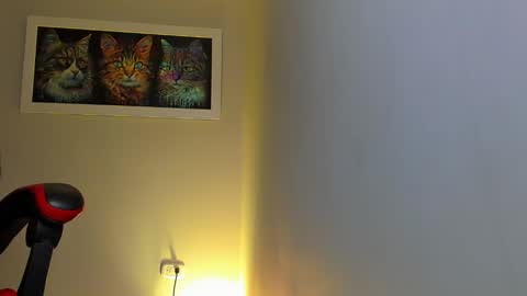 Snapshot of alpha_dominus_ chatting on 11.09.25 alpha_dominus_ online show from 11.09.25