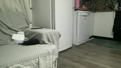 AlphAndre online show from 02.22.25