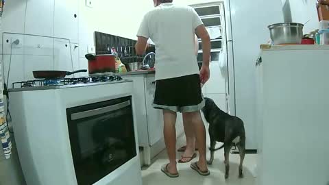 amantesdnoite online show from 11.30.25