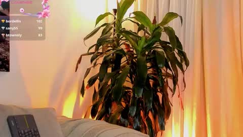 Amatista online show from 11.01.25