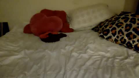 Amberloves2write aka AmberMyBelle online show from 02.08.25