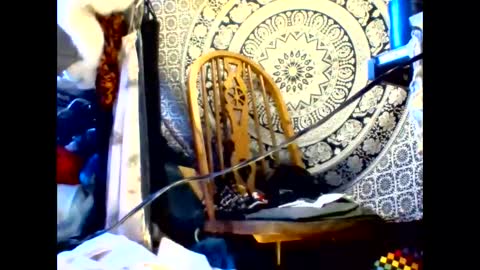 ambionce online show from 05.19.26