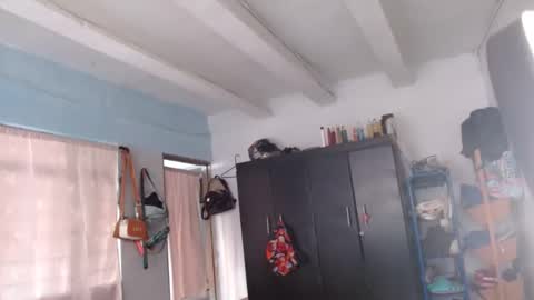 amelia  online show from 12.08.24