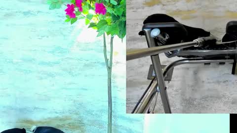  AMELIA.  online show from 03.15.26