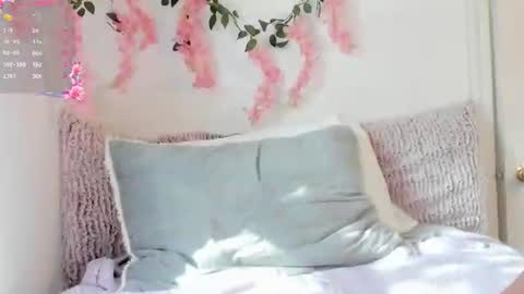 Snapshot of ameliashepard1 chatting on 06.19.26 Amelia online show from 06.19.26