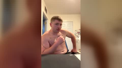 americanstalion online show from 05.19.26