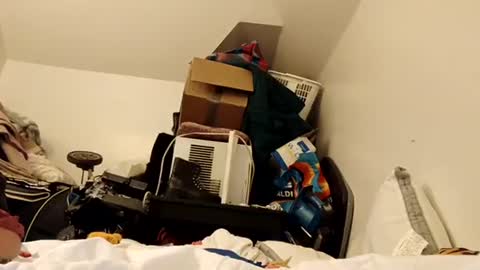 Snapshot of amileamariestar chatting on 12.16.24 amileamariestar online show from 12.16.24