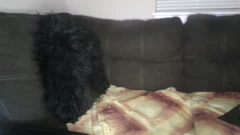 Snapshot of amiri_sweater chatting on 02.25.25 amiri_sweater online show from 02.25.25