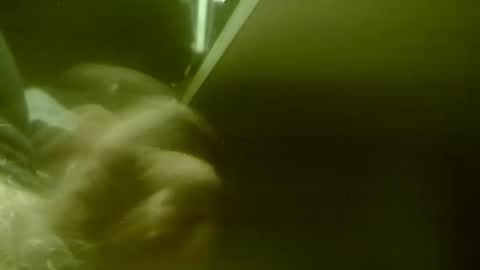 amolafica12 online show from 11.20.25