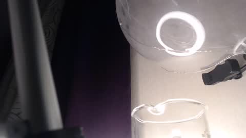 miss unforgettable online show from 02.13.25