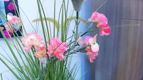 amy__wats0n online show from 03.17.26