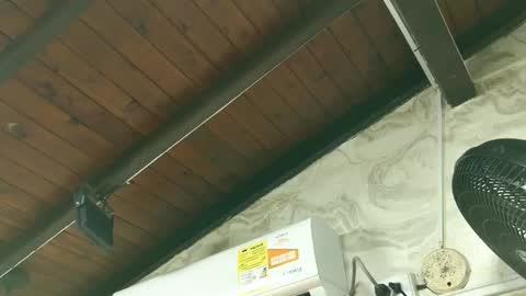 amy_greenee online show from 03.01.26