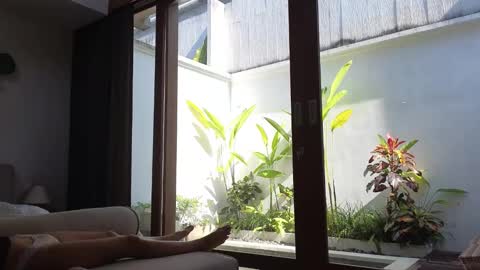 Snapshot of amyalwayshere chatting on 03.03.25 girl next door named Amy online show from 03.03.25